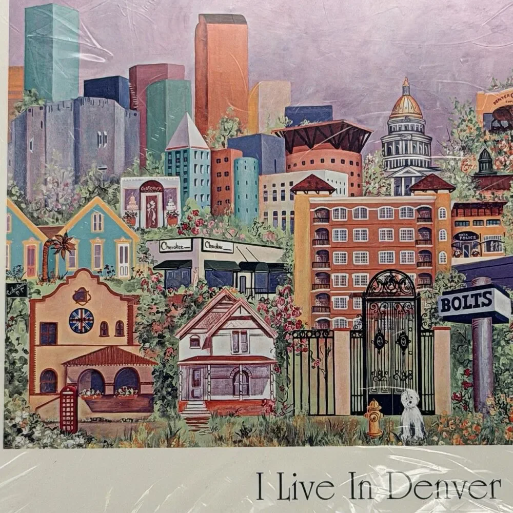 Elizabeth Nelson I Live In Denver 5x7 Note Cards Sealed 40-50 Est NOS